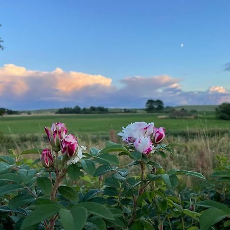 Droemhus Pa Oesterlen Glemminge Buitenkant foto