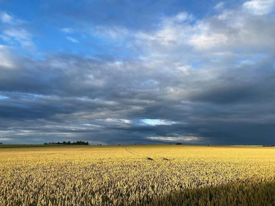 Droemhus Pa Oesterlen Glemminge Buitenkant foto