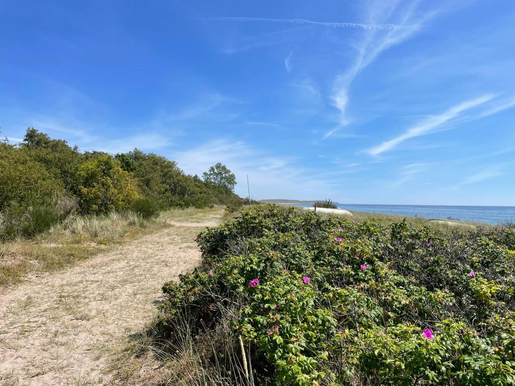 Droemhus Pa Oesterlen Glemminge Buitenkant foto